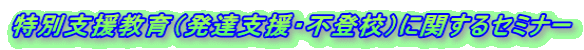 ���ʎx������i���B�x���E�s�o�Z�j�Ɋւ���Z�~�i�[